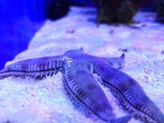 -多彩贵州城极地海洋世界