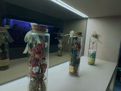 -宫七SPA·高端Massage(浦东大道店)