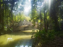 -小洲村