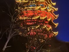 -黄鹤楼公园(黄鹤楼)