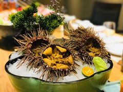 -大江户·温泉洗浴(浑南店)