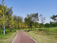 -黄海国家森林公园