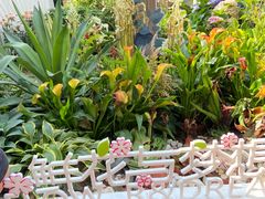 -深圳仙湖植物园