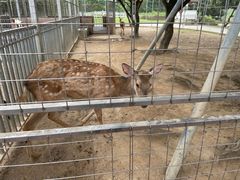 -迪茵湖田家舍生态农场