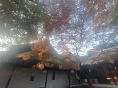 -兴福禅寺