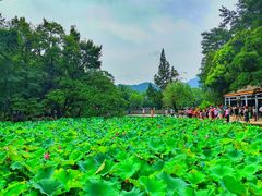 -韶山毛泽东同志故居