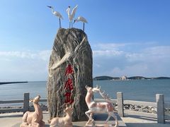 -广鹿岛
