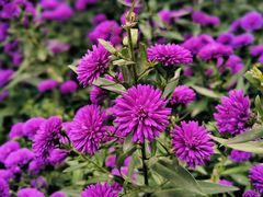 -西宁市人民公园(城西区)