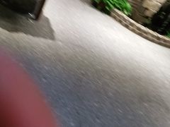 -临街徽菜馆·正宗黄山味