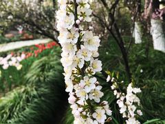 -昆山城市生态森林公园