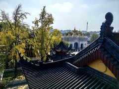 -上海东林寺(金山区)