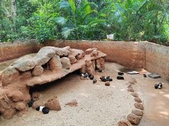 -海南热带野生动植物园