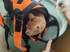 -拜鲁耶动物诊疗中心·宠家动物医院