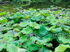 -杭州雅谷泉山庄酒店-餐厅