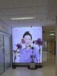 -北京爱育华医院-医疗美容科
