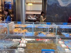 -青蓬蒸汽海鲜·深圳老字号·团建聚会(壹方城店)