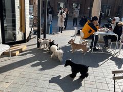 -小意思咖啡店(草桥店)