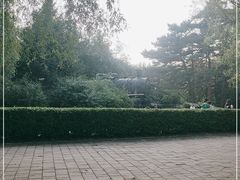 -长春市南湖公园