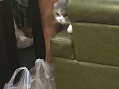 -青柠记忆泰式海鲜火锅(合生汇购物中心店)