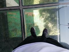 -川西竹海景区