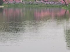 -圩墩遗址公园