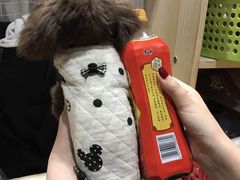 -爱宠屋pet shop·宠物洗澡·宠物美容