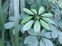 -郑州银基黄帝宫御温泉