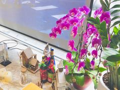 -蝶舍·MAISON PAPILLON