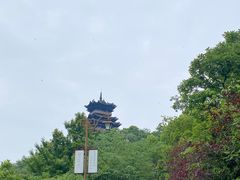 -杭州半山国家森林公园