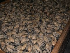 -蚝乡农庄(铁涌赤岸店)