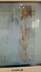 点击看大图 -苏菲亚婚纱影楼尊爵店(昆区店)