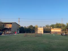 -洪湖家庭农场·团建·露营·会议