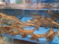 -“香”全日餐厅·株洲大汉希尔顿酒店