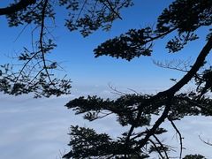-瓦屋山景区