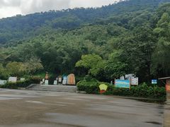 -羚羊峡古栈道森林公园