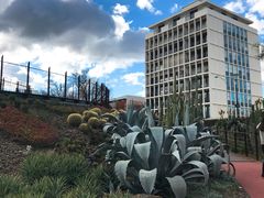 -墨尔本皇家植物园