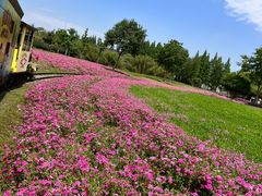 -歌斐颂巧克力小镇