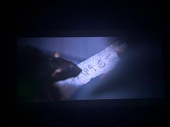 -SFC上影百联影城(川沙IMAX店)