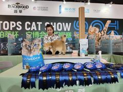 -东浩兰生上海世博展览馆