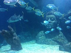 -暹罗海洋世界