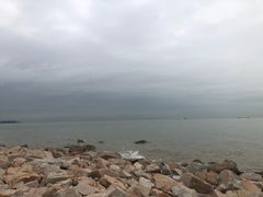 -野狸岛