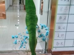 -学习谷日语培训日本留学·多语种外语教学(海淀人大分部)