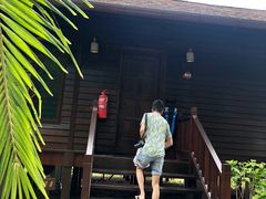-马达京岛
