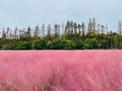 -嘉北郊野公园