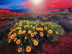 -罗红摄影艺术馆