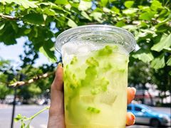 苦瓜油柑茶-炖物24章·顺时轻养茶(杭州大厦店)