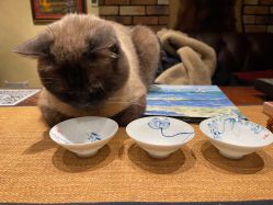 -京都墨客刺青