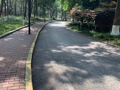 -重庆彩云湖湿地公园