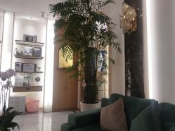 -雅曼妮spa美容养生