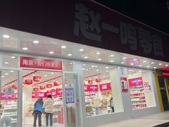 -赵一鸣零食(南京上元大街店)